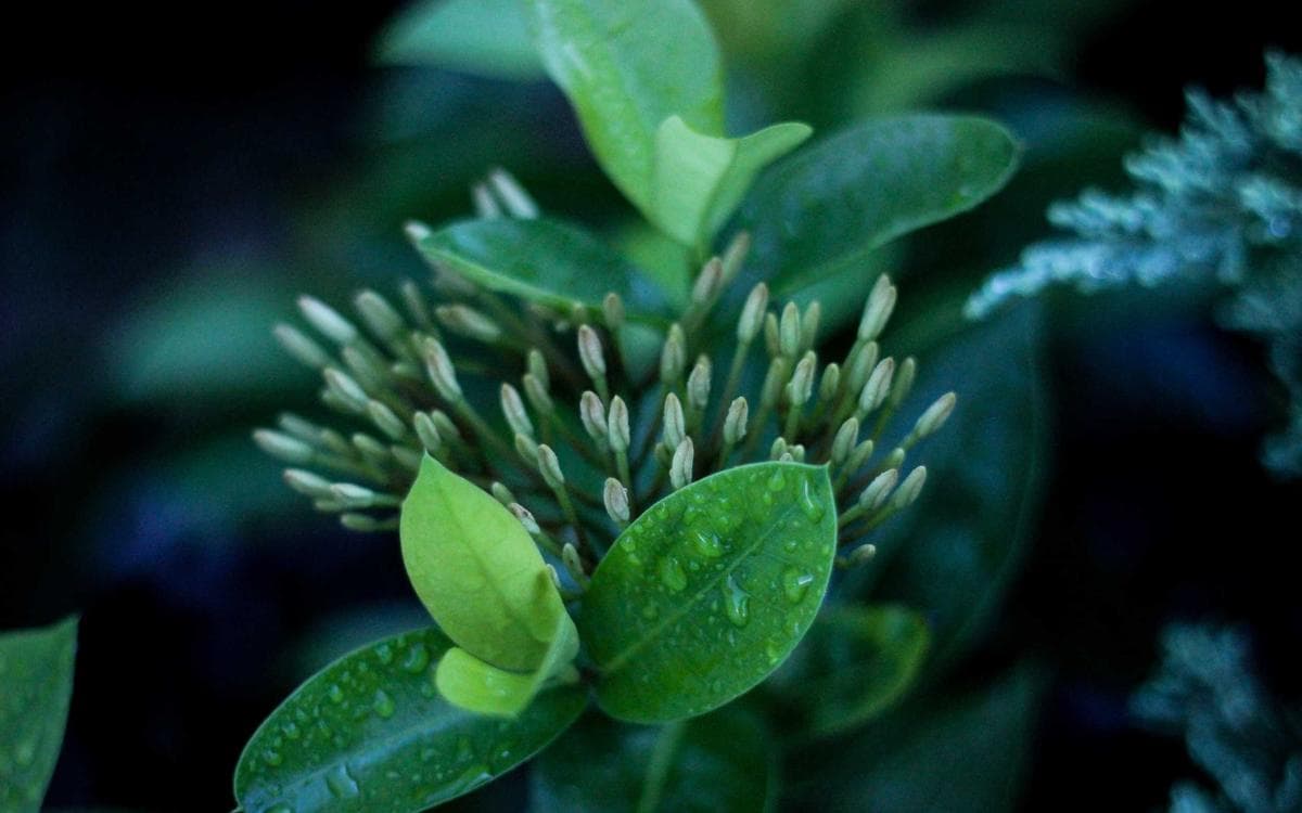 Form 5472 explained: the tax form that costs $25,000 if you skip it